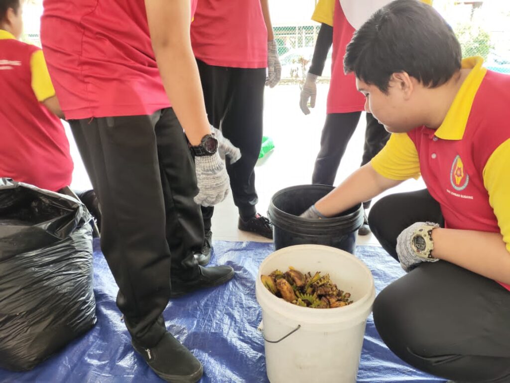 composting 1